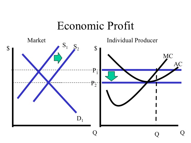 Economic Profits and Losses - Learn the Facts